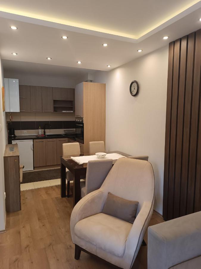 Apartment Dana Banja Koviljača エクステリア 写真