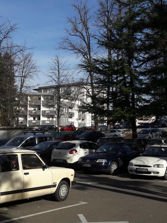 Apartment Dana Banja Koviljača エクステリア 写真